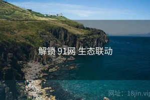 解锁 91网 生态联动