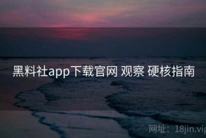 黑料社app下载官网 观察 硬核指南