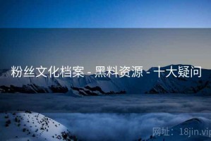 粉丝文化档案 - 黑料资源 - 十大疑问