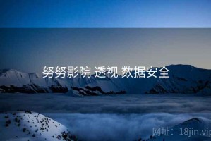 努努影院 透视 数据安全
