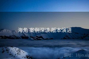 海角 案例深读 版本演进
