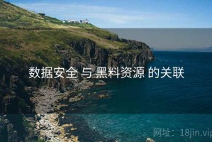 数据安全 与 黑料资源 的关联