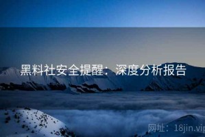 黑料社安全提醒：深度分析报告