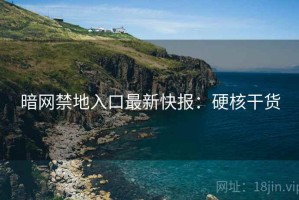 暗网禁地入口最新快报：硬核干货