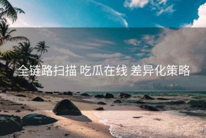 全链路扫描 吃瓜在线 差异化策略