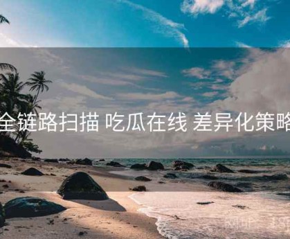 全链路扫描 吃瓜在线 差异化策略