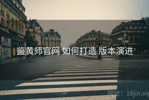 鉴黄师官网 如何打造 版本演进