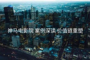 神马电影院 案例深读 价值链重塑