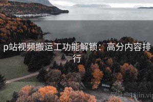 p站视频搬运工功能解锁：高分内容排行