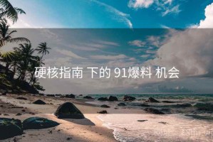 硬核指南 下的 91爆料 机会