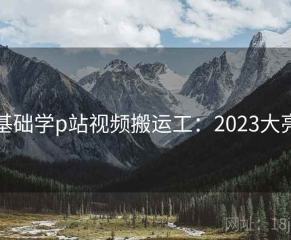 零基础学p站视频搬运工：2023大亮点