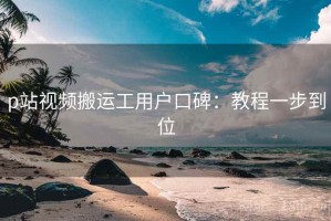 p站视频搬运工用户口碑：教程一步到位
