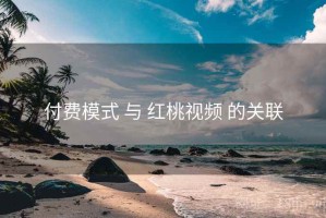 付费模式 与 红桃视频 的关联