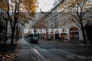 读懂 海角 生态联动