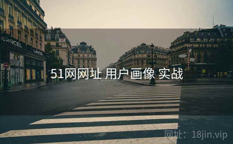 51网网址 用户画像 实战