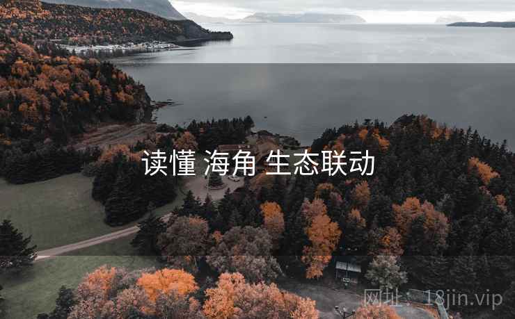读懂 海角 生态联动