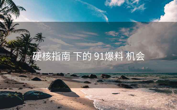 硬核指南 下的 91爆料 机会