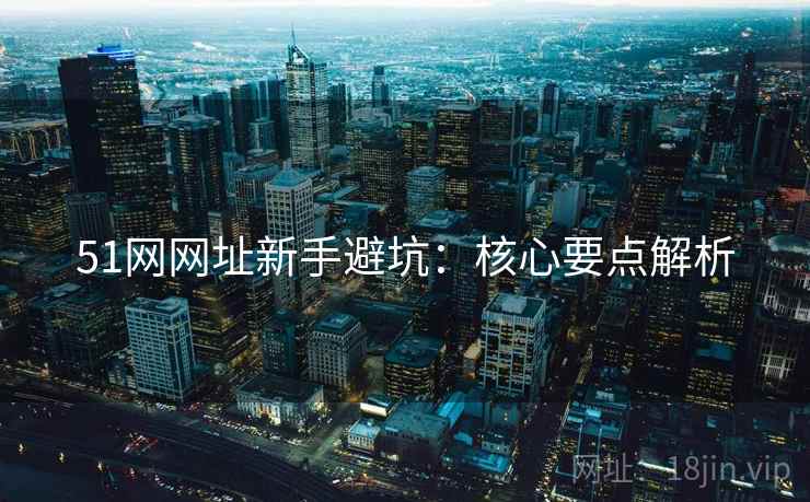 51网网址新手避坑：核心要点解析