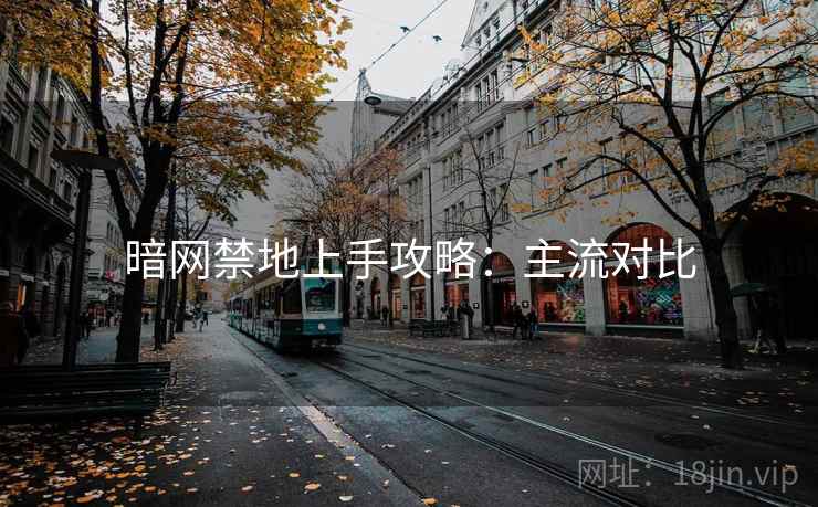 暗网禁地上手攻略：主流对比