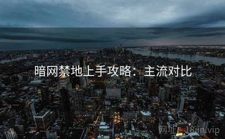 暗网禁地上手攻略：主流对比