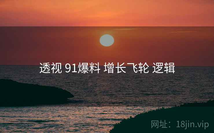 透视 91爆料 增长飞轮 逻辑