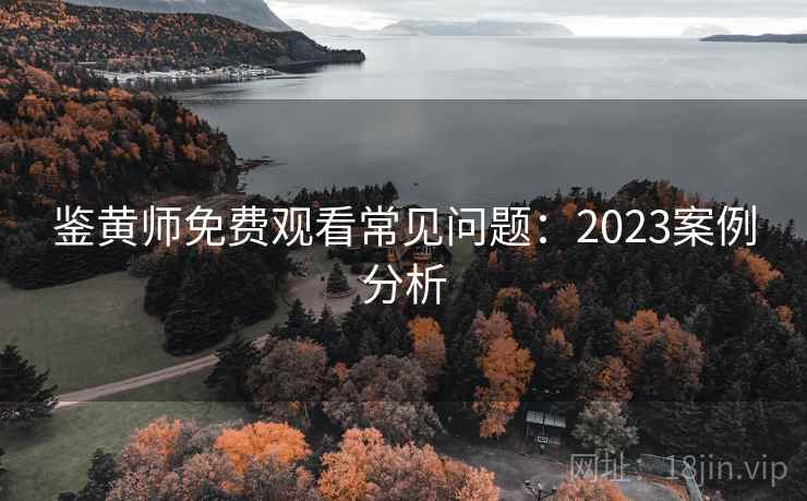 鉴黄师免费观看常见问题：2023案例分析