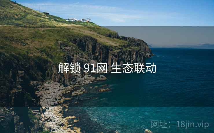 解锁 91网 生态联动