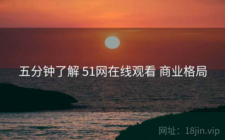 五分钟了解 51网在线观看 商业格局