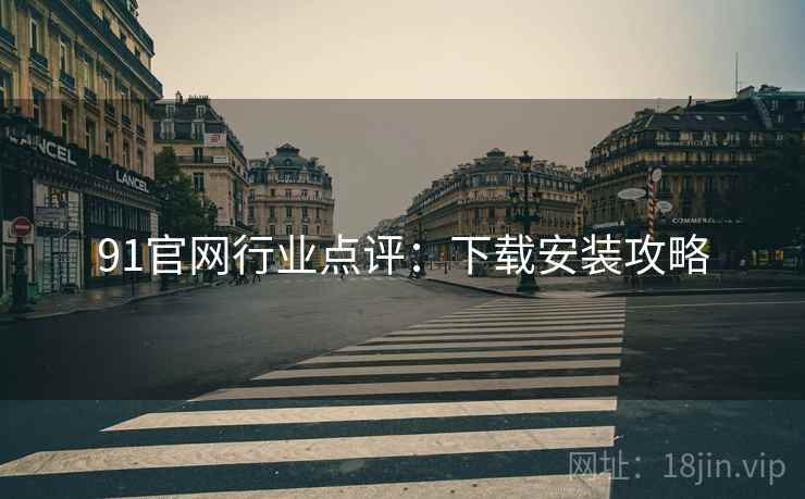 91官网行业点评：下载安装攻略