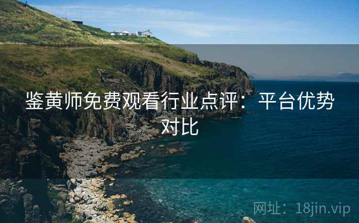 鉴黄师免费观看行业点评：平台优势对比