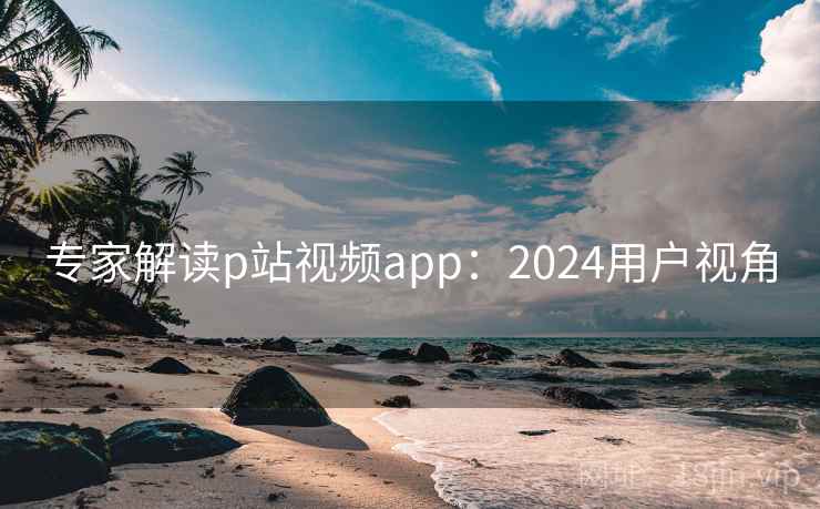 专家解读p站视频app：2024用户视角