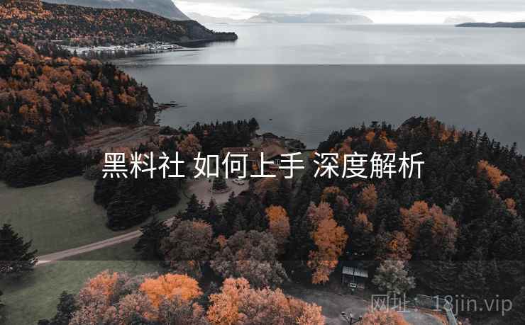 黑料社 如何上手 深度解析
