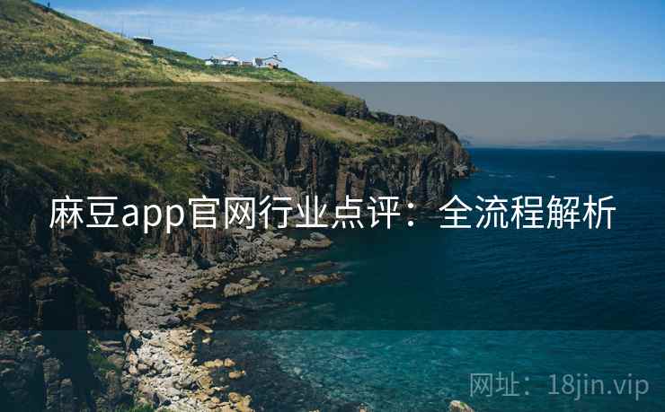 麻豆app官网行业点评：全流程解析