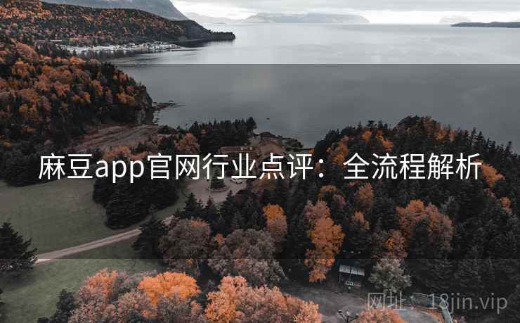 麻豆app官网行业点评：全流程解析
