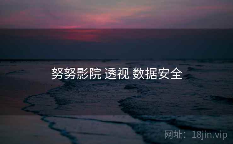 努努影院 透视 数据安全