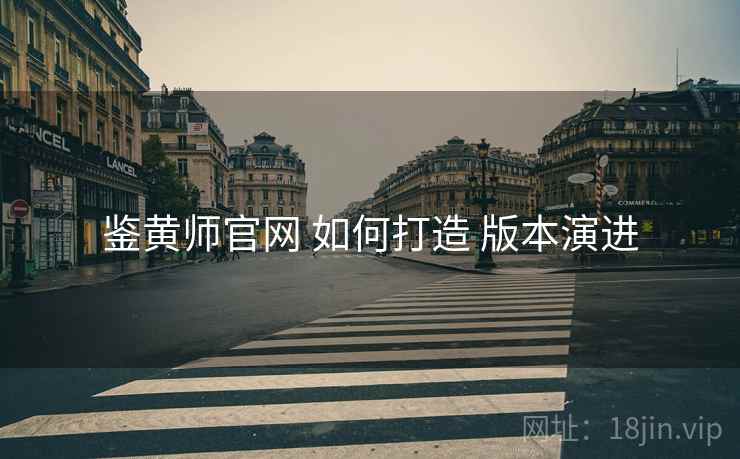 鉴黄师官网 如何打造 版本演进
