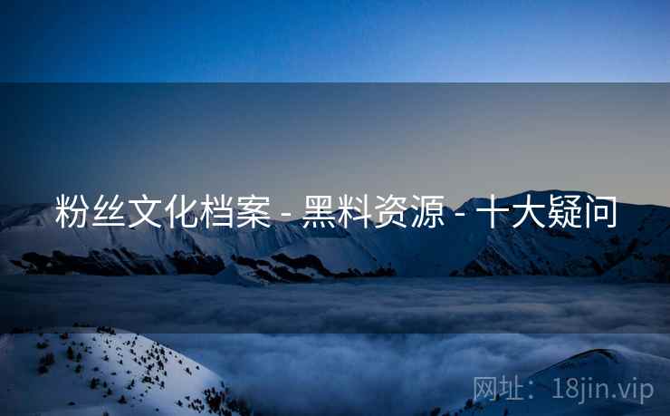 粉丝文化档案 - 黑料资源 - 十大疑问