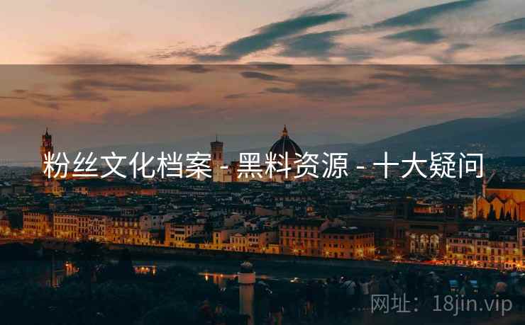 粉丝文化档案 - 黑料资源 - 十大疑问