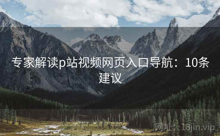 专家解读p站视频网页入口导航：10条建议